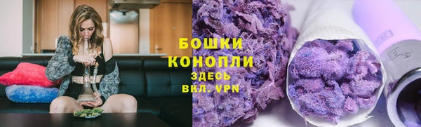 СК Семилуки