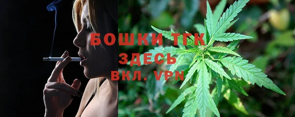 ECSTASY Семикаракорск