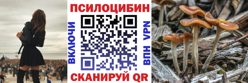 Псилоцибиновые грибы прущие грибы  магазин продажи наркотиков  Белый 