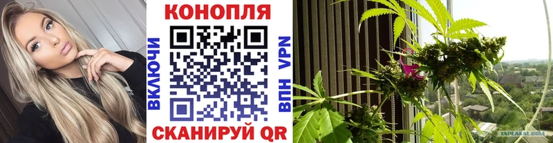 Марихуана семена  OMG tor  Белый 